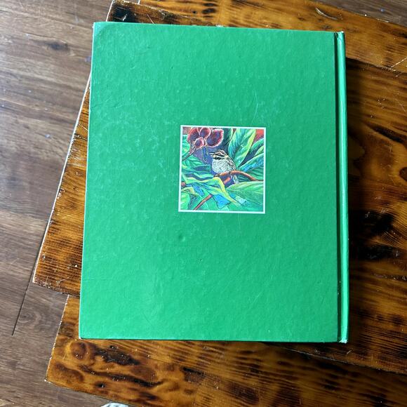Vintage 1990 The Great Kapok Tree A Tale Of The Amazon Rainforest Hardcover Book - Picture 7 of 8